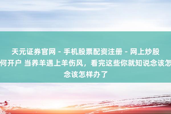 天元证券官网 - 手机股票配资注册 - 网上炒股杠杆如何开户 当养羊遇上羊伤风，看完这些你就知说念该怎样办了
