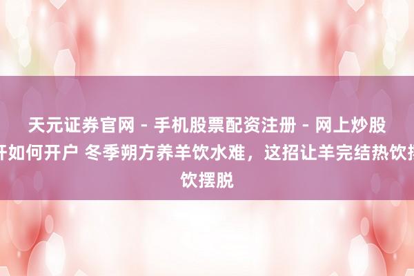 天元证券官网 - 手机股票配资注册 - 网上炒股杠杆如何开户 冬季朔方养羊饮水难，这招让羊完结热饮摆脱